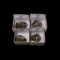 Natural History - Pyrite Crystal Specimen Group
