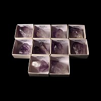 Natural History - Amethyst Crystal Specimen Group