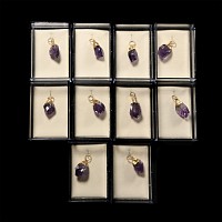 Natural History - Amethyst Crystal Pendant Group