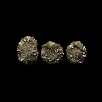 Natural History - Pyrite Crystal 'Flower' Specimen Group