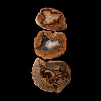 Natural History - Australian Agate Creek Cut and Polished 'Thunder Egg' Half Group
