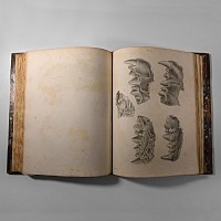 Natural History Books - Buckland - Reliquae Diluvianae