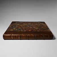 Natural History Books - Buckland - Reliquae Diluvianae