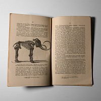Natural History Books - Howard - Caves of South Devon