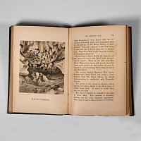 Natural History Books - Forwood - Historical and Descriptive Narrative of the Mammoth Cave