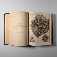 Natural History Books - Dept of Mines and Agriculture - Records of the Geological Survey of NSW  (volumes V(parts I-IV) and VI(parts I-IV)