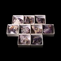 Natural History - Amethyst Crystal Specimen Group