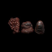 Natural History - Natural Haematite Mineral Specimen Group
