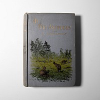 Natural History Books - Verschuur - At the Antipodes