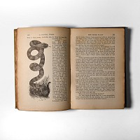 Natural History Books - Nisbet - A Colonial Tramp