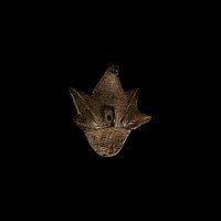 Roman Vine Leaf Mount