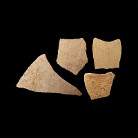 Natural History - Giant Elephant Bird Eggshell Group