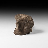 Natural History - Marine Crocodile Fossil Vertebra