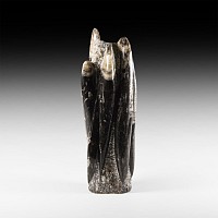 Natural History - Polished Orthoceras Fossil Tower