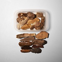 Stone Age Tenerian Stone Tool Group
