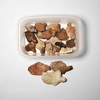 Stone Age Aterian Tanged Arrowheads