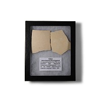 Natural History - Giant Elephant Bird Eggshell Group