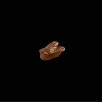 Egyptian Stone Fly Amulet