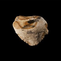 Stone Age Twydall Flint Retouched Implement