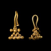 Bactrian Gold Earrings