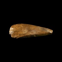Danish Stone Age Neolithic Thin Butted Axe