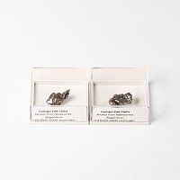 Natural History - Campo del Cielo Meteorite Group