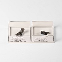 Natural History - Campo del Cielo Meteorite Group