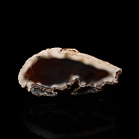 Natural History - Polished Agate Mineral Specimen