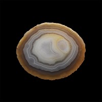 Natural History - Polished Agate Mineral Specimen