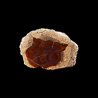 Natural History - Cut and Polished Thunder Egg Half