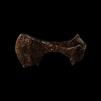 Viking Period Bearded Axehead