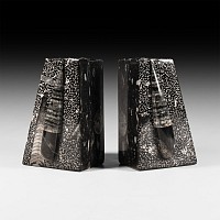 Natural History - Orthoceras Fossil Book End Pair