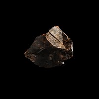 Natural History - Fossil Ginkgo Leaf in Matrix