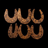 Medieval Horse Shoe Collection
