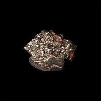 Natural History - Campo del Cielo Meteorite