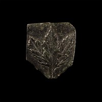 Hellenistic Acanthus Jewellery Matrix