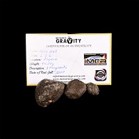 Natural History - Algerian NWA 869 Meteorite Collection
