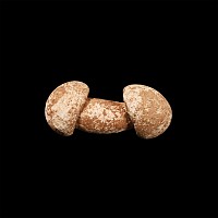 Post Medieval Double Phallic Amulet