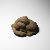 Natural History - Freeform Gogotte Display