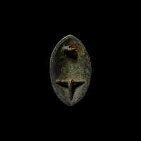 Viking Age Bronze Tortoise Brooch