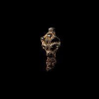 Viking Gilt Bronze Beast Head Finial