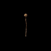 'The West Lindsey' Tudor Gold Dress Pin