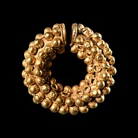 Etruscan Gold Leech Earring