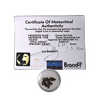 Natural History - Campo Del Cielo Iron Meteorite Collection