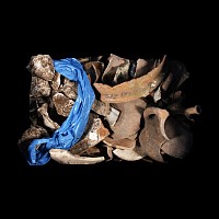 Medieval and Later Dutch Pottery Pit Dug Fragment Group