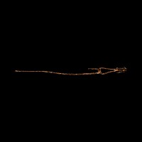 Iron Age Celtic Fire Tongs