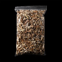 Natural History - Extinct Fossil Shark and Other Tooth Collection
