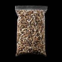 Natural History - Extinct Fossil Shark and Other Tooth Collection