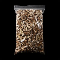 Natural History - Extinct Fossil Shark and Other Tooth Collection