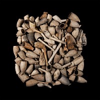 Post Medieval Pipe Bowl Group Including Armorials